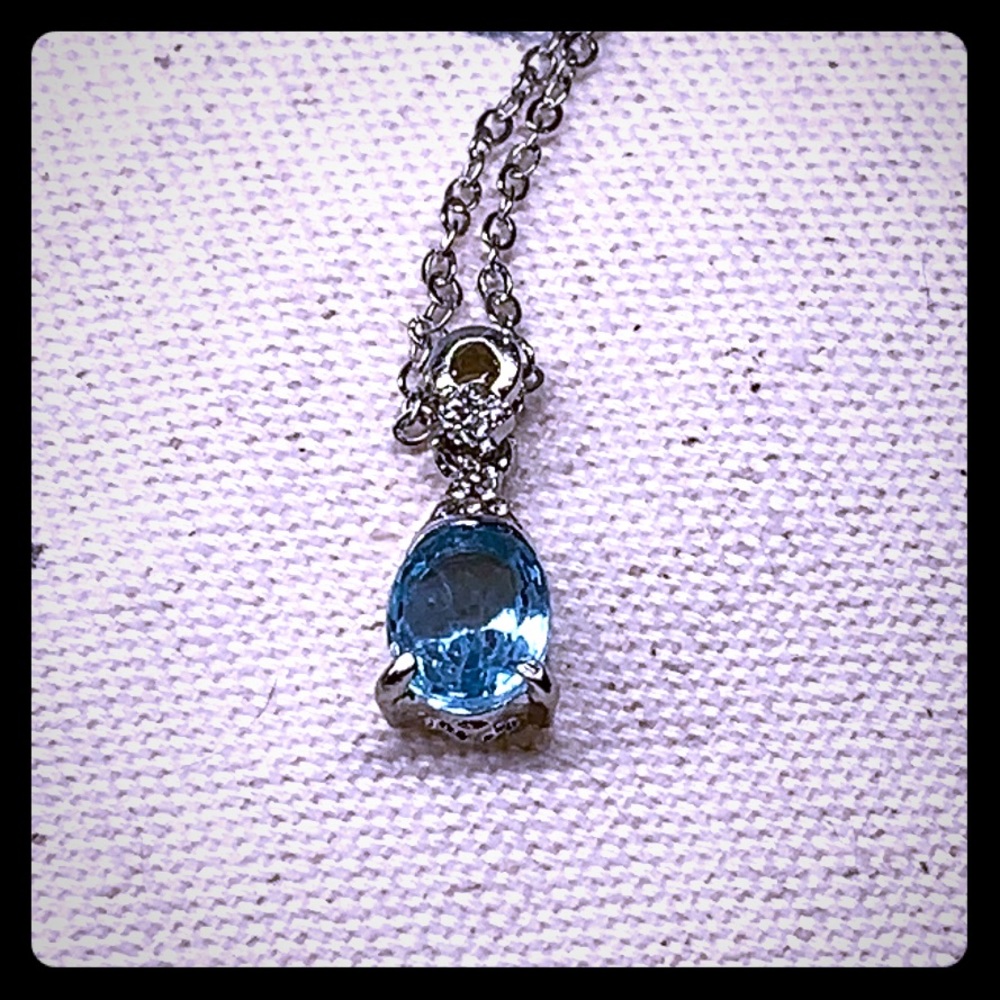 NWT Blue Resin with Clear Accent Resin Necklace